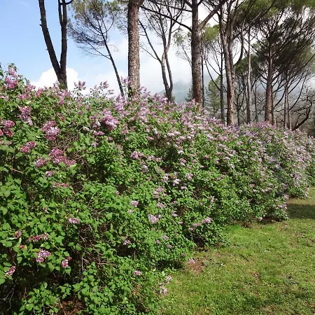 Negri Arnoldi Alla Bianca