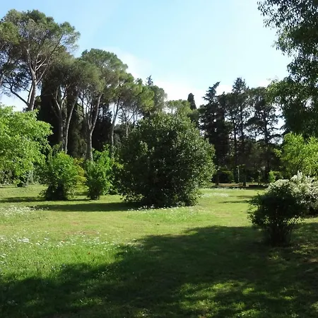 Negri Arnoldi Alla Bianca